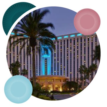 Hotel & Travel