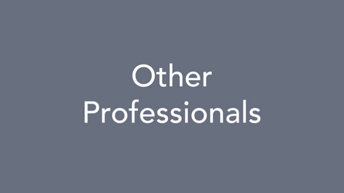 Other Professionals